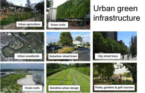 Urban Green Infrastructure